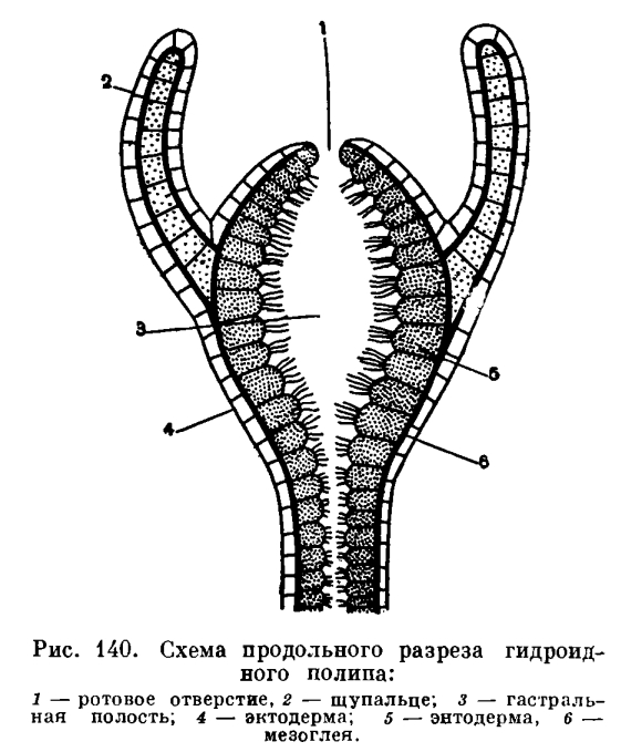 Блэкспрут как зайти